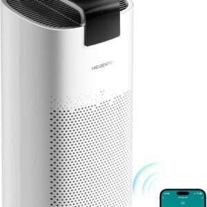 Smart Air Purifier